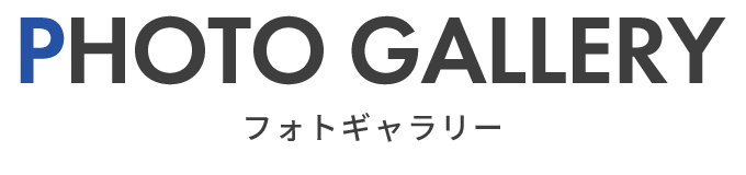 フォトギャラリー